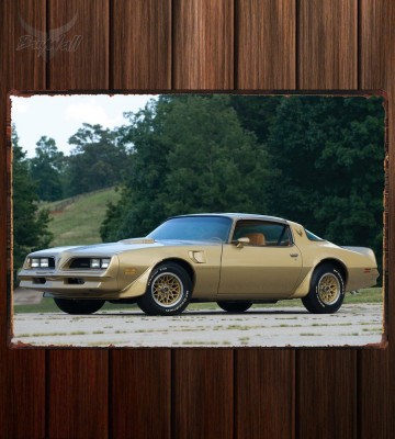Металлическая табличка Pontiac Firebird Trans Am Y-88 Gold Special Edition